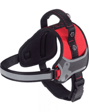 peitoral-hercules-ferplast-para-caes-vermelho-cirneco-do-etna
