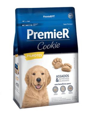 premier-cookie-filhotes-vizsla