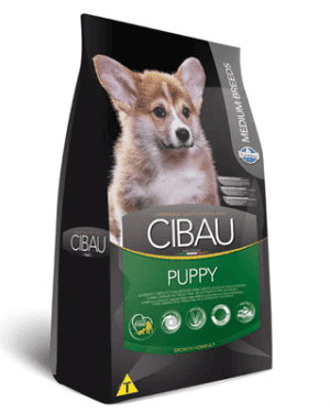 racao-cibau-medium-breeds-para-caes-filhotes-de-racas-medias-smooth-collie