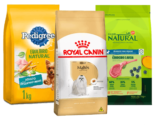 racao-para-cachorro-bichon-bolonhese