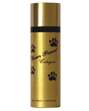 four-paws-cologne-corgi