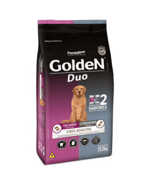 golden-duo-welsh-corgi