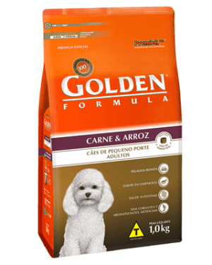 golden-formula-corgi