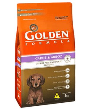 golden-formula-dachshund