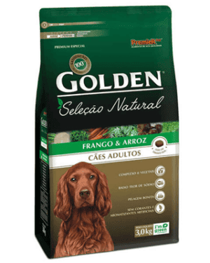 golden-natural-whippet