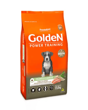 golden-power-training-coton-de-tulear