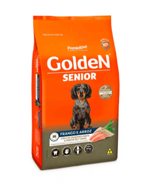 golden-senior-welsh-corgi