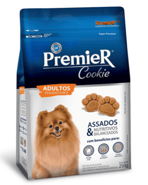 premier-adultos-corgi