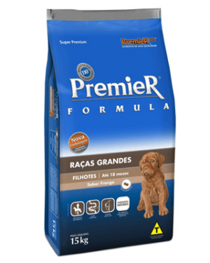 premier-racas-grandes-doberman
