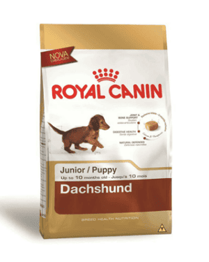 royal-canin-filhotes-dachshund