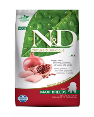 nd-pastor-de-beauce