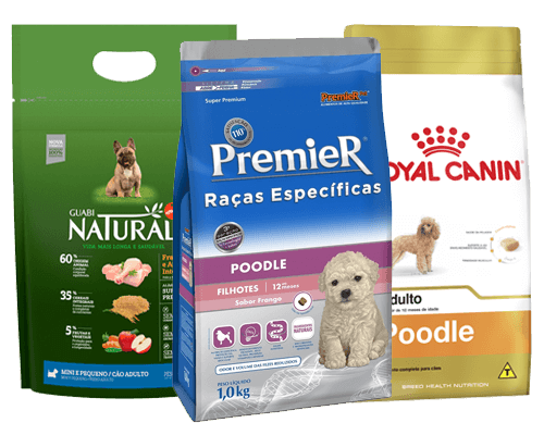 racao-para-cachorros-foxhound-americano