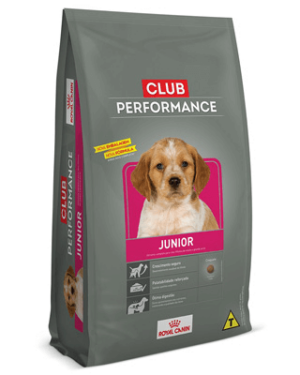 royal-canin-junior-pastor-belga