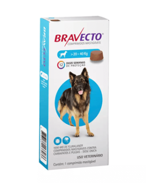 bravecto-old-english-sheepdog