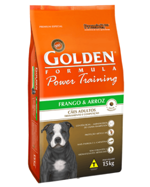 golden-formula-pastor-australiano