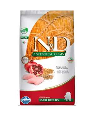 nd-ancestral-grain-old-english-sheepdog
