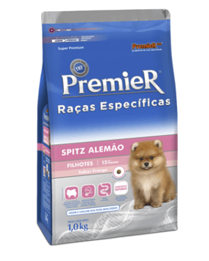 premier-racas-especificas-lulu-da-pomerania