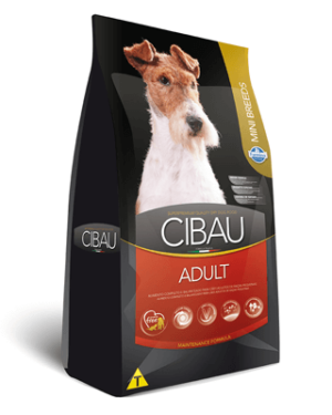 cibau-cairn-terrier