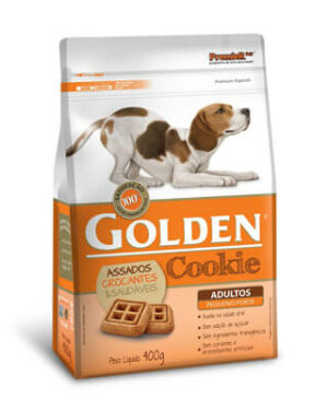 golden-cookie-jack-russel-terrier