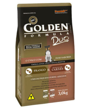 golden-racao-jack-russel-terrier