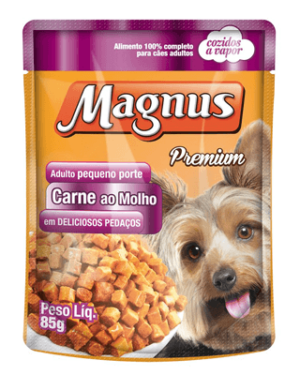 magnus-spaniel