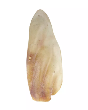 osso-pettreats-orelha-bovina-natural-para-caes-cao-lobo-checoslovaco