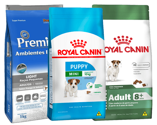 racao-para-cachorros-jack-russel-terrier