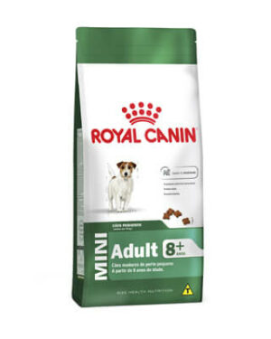 royal-canin-adult-jack-russel-terrier