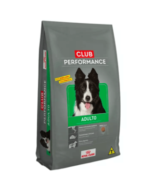 club-performance-adulto-bulldog-americano
