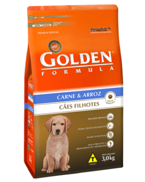 golden-filhotes-bull-terrier