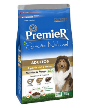 premier-adultos-bull-terrier