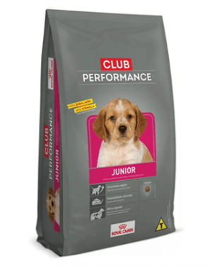 racao-royal-canin-club-performance-junior-caes-filhotes-bull-terrier-miniatura