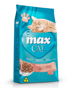 max-cat-sphynx