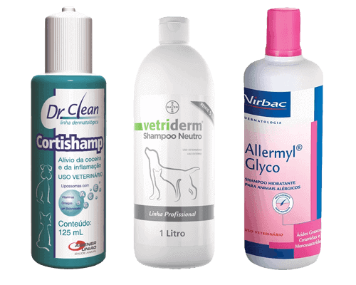shampoo-para-gato-persa