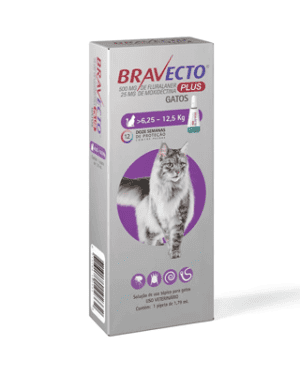 anti-pulgas-bravecto-plus-para-gatos-de-624kg-a-125kg-american-shorthair