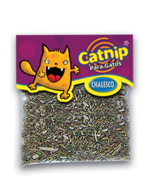 catnip-vira-lata