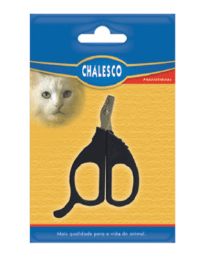 chalesco-british-shorthair