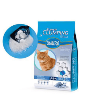 chalesco-silica-british-shorthair