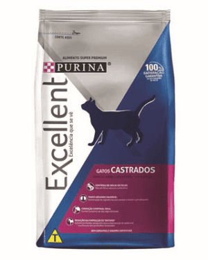 excellent-gatos-castrados-british-shorthair