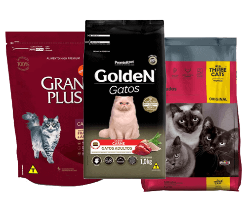 gatos-bobtail