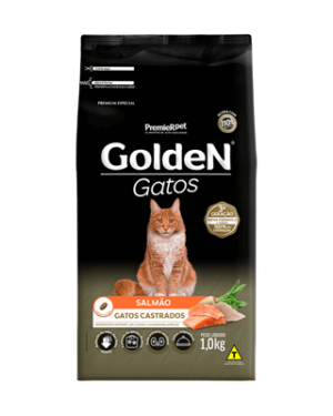 golden-gatos-vira-lata