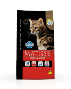 matisse-vira-lata