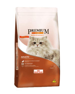 premium-cat-british-shorthair