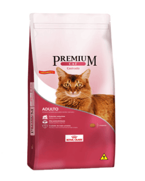 premium-cat-castrado-british-shorthair