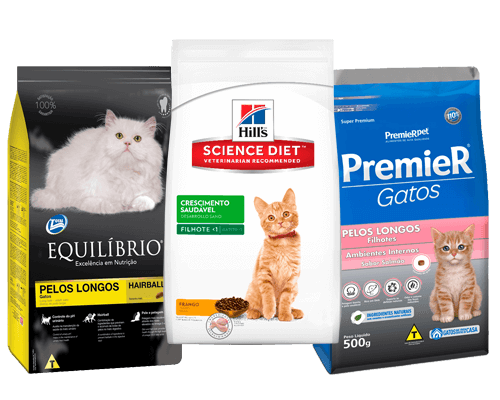 racao-para-gatos-himalaio-1