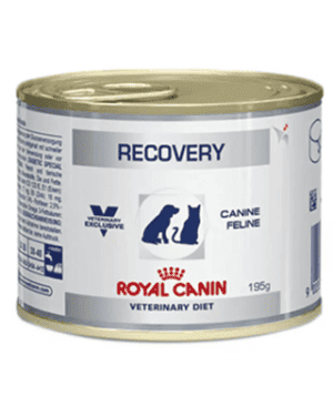 recovery-royal-canin-veterinary-racao-lata-caes-e-gatos-bombain