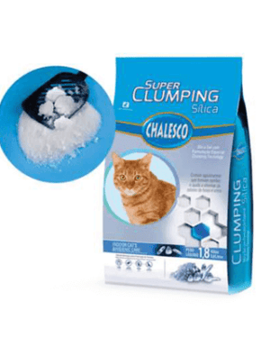 super-clumping-sphynx