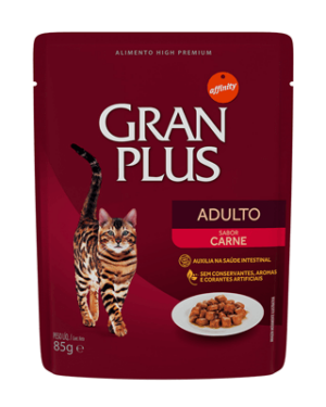 gran-plus-sphynx