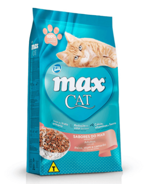 max-cat-angora