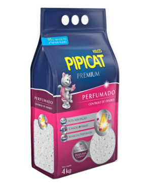 pipicat-perfumado-ragdoll